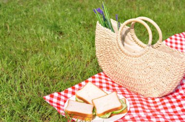 Salatalıklı, domatesli ve ekmekli üç vejetaryen sandviç. Park pikniği 