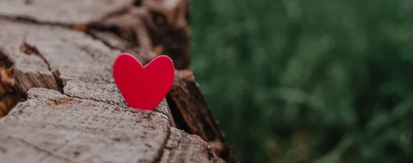Coração vermelho no espaço de cópia de fundo natural, conceito de amor — Fotografia de Stock