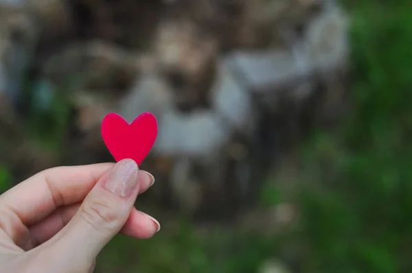 Coração vermelho no espaço de cópia de fundo natural, conceito de amor — Fotografia de Stock