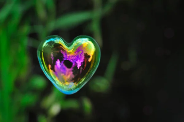 Bolha em forma de coração no espaço de cópia de fundo natural, conceito de amor — Fotografia de Stock