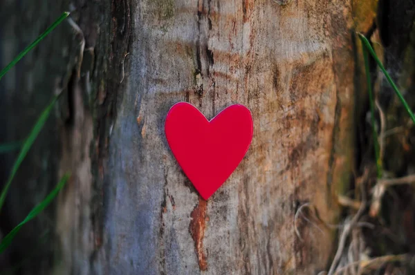 Coração vermelho no espaço de cópia de fundo natural, conceito de amor — Fotografia de Stock