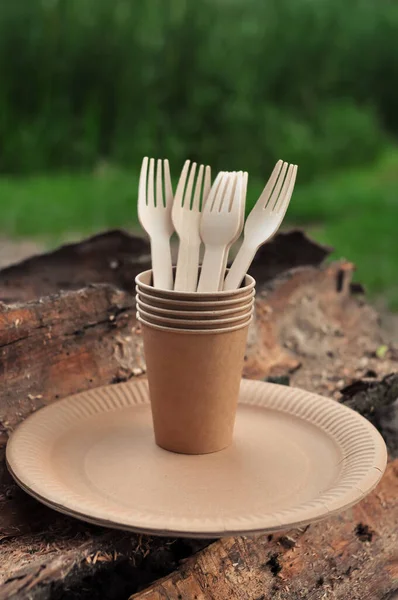 Одноразовая бумажная посуда на деревянном фоне в лесу летом, нулевая концепция отходов — стоковое фото