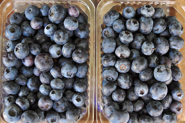Черника в пластиковых пакетах в кабинке макро зрения, синий фон 
