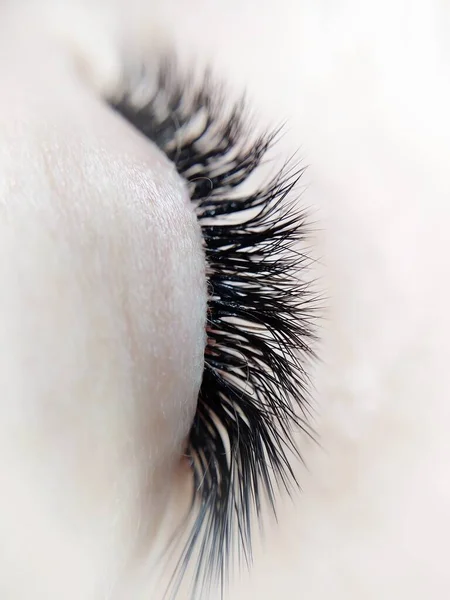 Lash Erweiterungen Makro Ansicht Von Oben Hochwertiges Foto — Stockfoto