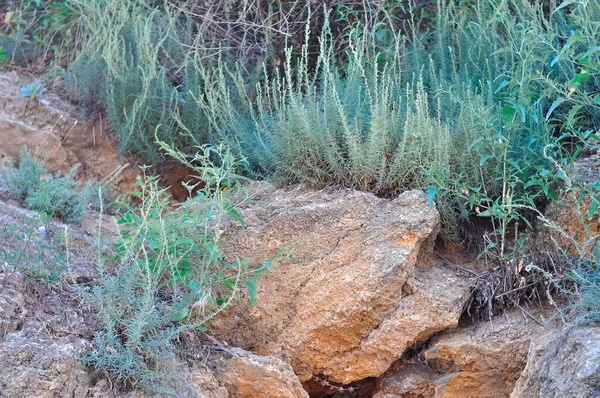 Gele Rots Stenen Natuurlijke Textuur Achtergrond Kopieer Ruimte — Stockfoto