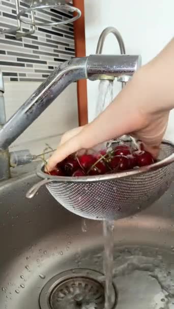 Womans hands washing cherries in a sieve in the kitchen in the sink — Vídeos de Stock
