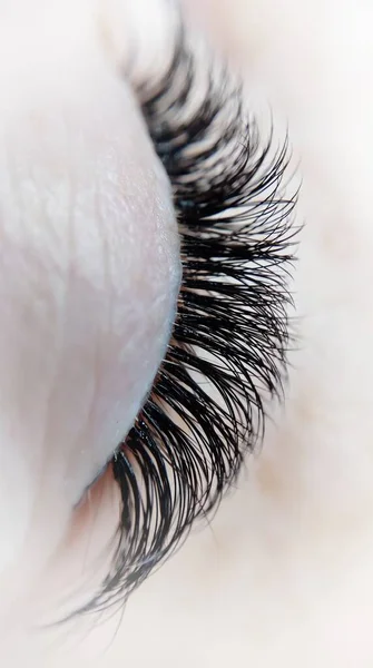 Wimperextensies in schoonheidssalon macro oog boven aanzicht — Stockfoto