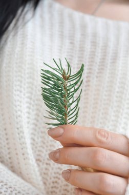 Her zaman yeşil olan Noel ağacının dalını tutan kadın. 