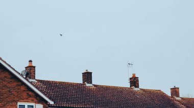 Evlerin çatıları bulutlu bir gökyüzünün altında görülebilir ve uzaktan uçan bir kuş var.
