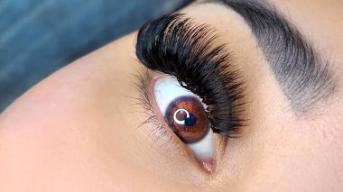 close up of eye with eyelash extensions in beauty salon macro eye top view.