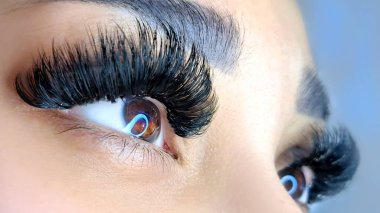 close up of eye with eyelash extensions in beauty salon macro eye top view.