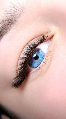 Güzellik salonunda kirpik uzantılarını kapat makro mavi göz, l-curl