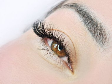 Kirpik uzatma, güzellik salonu tedavisi, 2d cilt, 3d cilt, klasik kirpik, Rus hacmi, megavolume, yeni set.