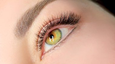 Kirpik uzatmalı kadın gözünü kapat, kirpik uzatma prosedürü. 2d hacim, 3d hacim, klasik kirpikler, Rus hacmi, mega hacim, yeni set..