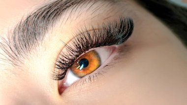 Kirpik uzatmalı kadın gözünü kapat, kirpik uzatma prosedürü. 2d hacim, 3d hacim, klasik kirpikler, Rus hacmi, mega hacim, yeni set..