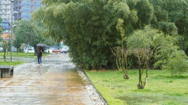 Bir şemsiye tutan kişi yeşil alanlarla çevrili ıslak bir patika boyunca yürür.