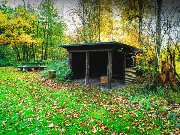 place for camping and overnight in the woods