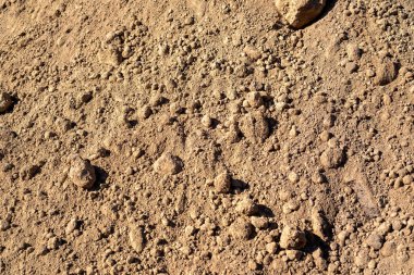 inşaat toprağı, kum, kil, lim