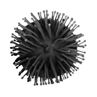 Koronavirüsler, çizimler, izole etme. Coronavirüsler, bir grup ilgili virüs, koronavirüsler solunum yolu enfeksiyonlarına neden olur..