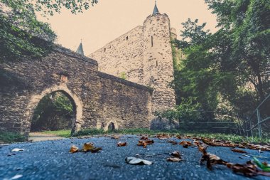 Sonbahar yaprakları asfaltta yatar.