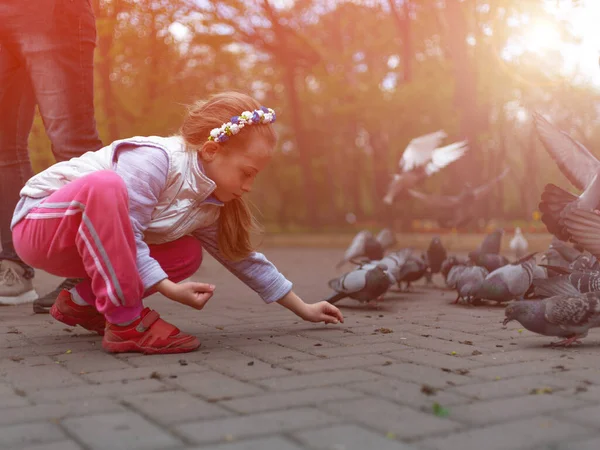 Girl Feeds Pigeons Lays Out Food Them — Stock Photo, Image