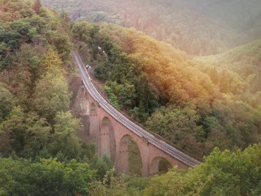 Ormandaki eski tuğla köprü viyadük