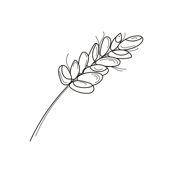 白を基調とした小麦の小花のミニマル ベクトル図 — ストックベクタ