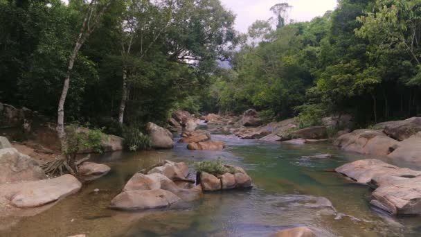 在热带丛林中的快速河 — 图库视频影像