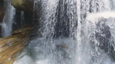tropikal orman şelale