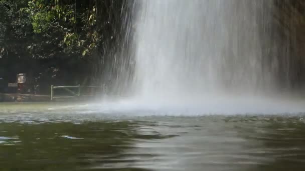 Cascade en forêt tropicale — Video