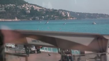 Ağır çekim martı uçan