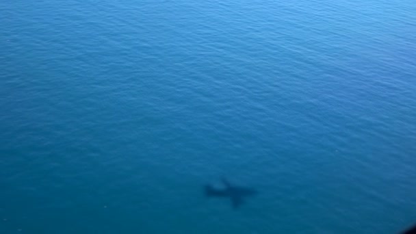 Sombra de avião na água — Vídeo de Stock