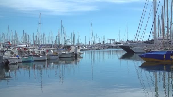 Petits bateaux de pêche dans le port — Video