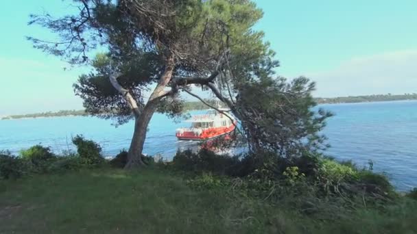 船が木 々の間から先に浮かぶ — ストック動画