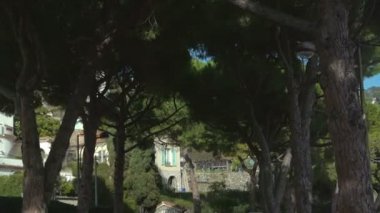 Bir bahar yol sürüş