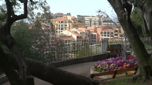 モナコでシティ ガーデン — ストック動画