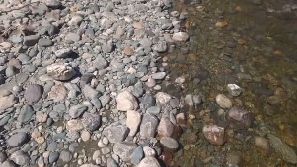 Rivier in het bergdal — Stockvideo