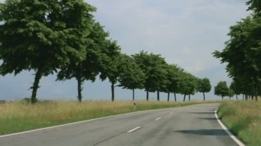 Yol ağaçları Almanya ile