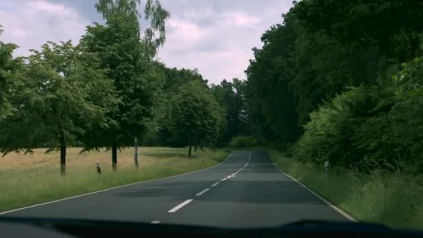 Forest road in germany — Stock Video