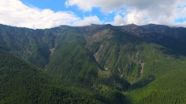 飞过高山 — 图库视频影像