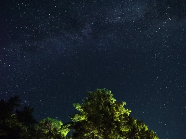 A galáxia Via Láctea se movendo através de árvores. — Vídeo de Stock