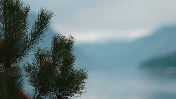 Lac de Teletskoe contre les montagnes, Altay — Video