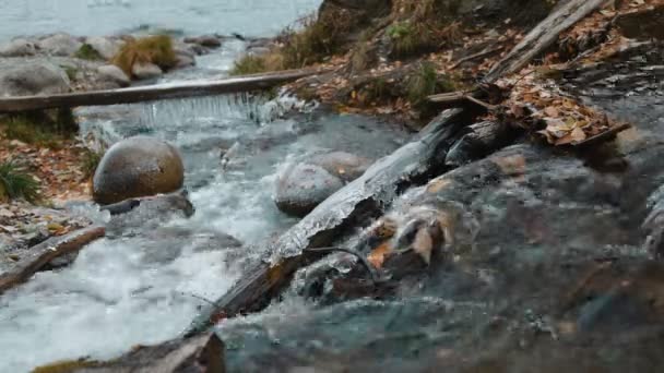 Icicles no riacho da República Altay (Rússia, Sibéria ) — Vídeo de Stock