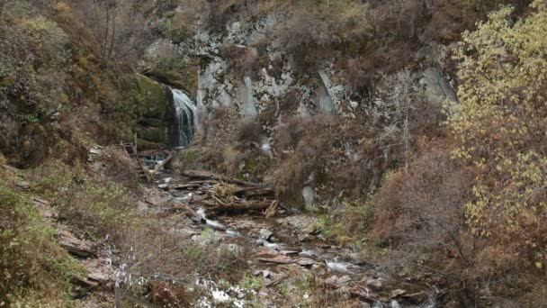 Vattenfall i bergen i Altay republiken (Ryssland, Sibirien) — Stockvideo