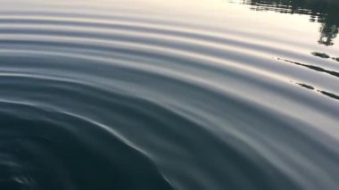 Gerçek su dalgaları