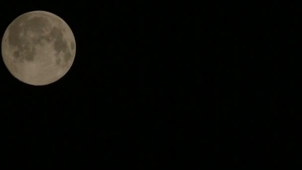 Luna piena nel cielo notturno timelapce — Video Stock
