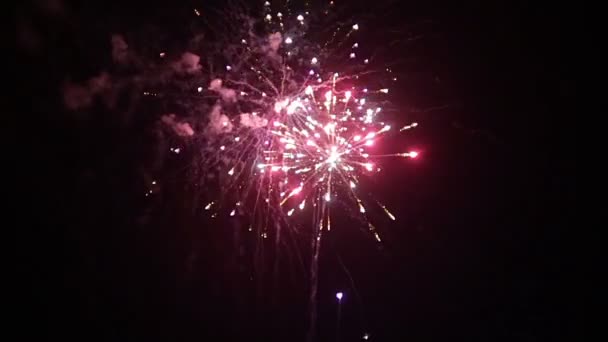 Feuerwerk erhellt den Himmel — Stockvideo