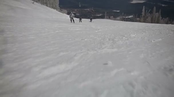 Skidåkaren på piste — Stockvideo