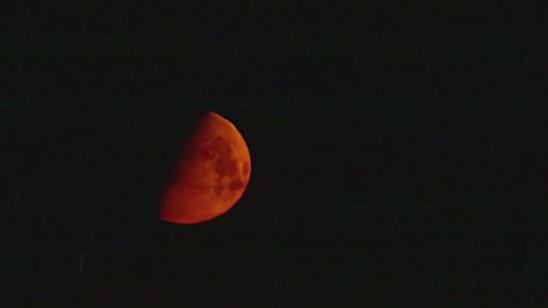 Luna de sangre timelapse — Vídeo de stock