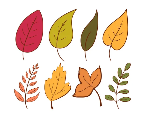 Hand drawn set of leaves colorful isolated on white background. Vector botanical illustration. Hand-drawn doodle herbal elements. Spring and summer plant vector in line art or outline style. — Stock Vector